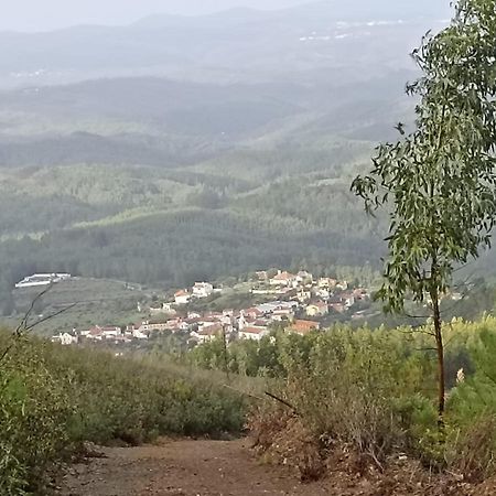 Appartamento Casa Xara Proença-a-Nova Esterno foto